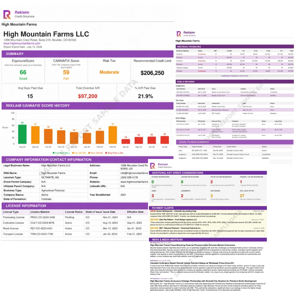 reklaim-credit-solutions-credit-report-sample-banner