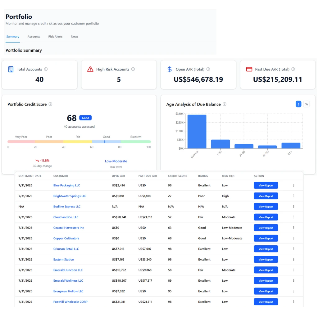 reklaim-credit-solutions-portfolio-monitoring-dashboard-screenshot